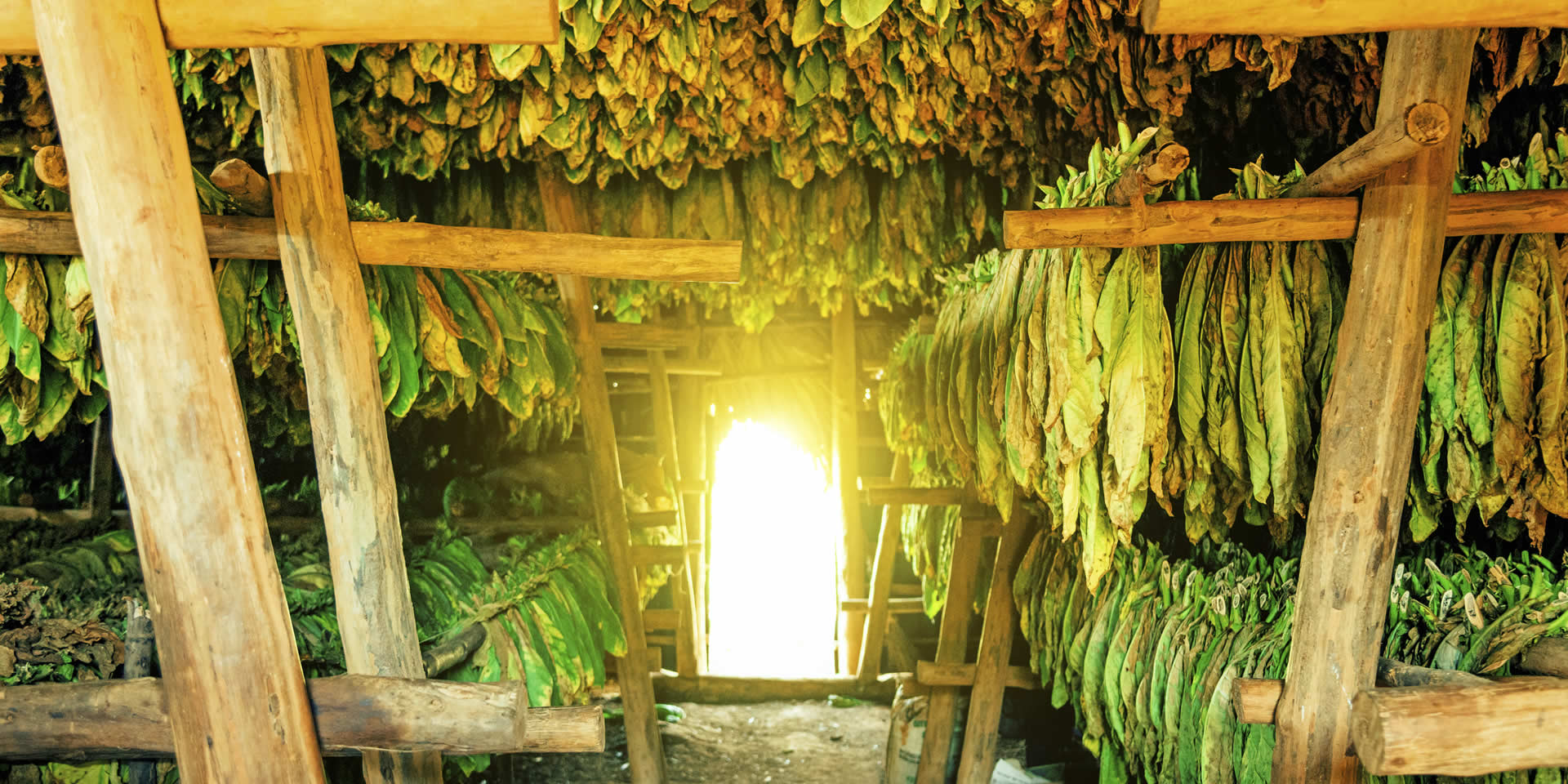 Sustainable Packaging and Inks Appeal to Your Customers