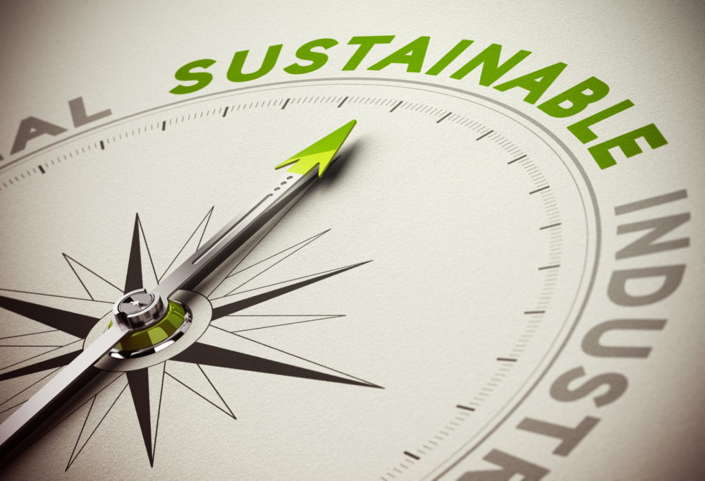 Understanding Sustainability
